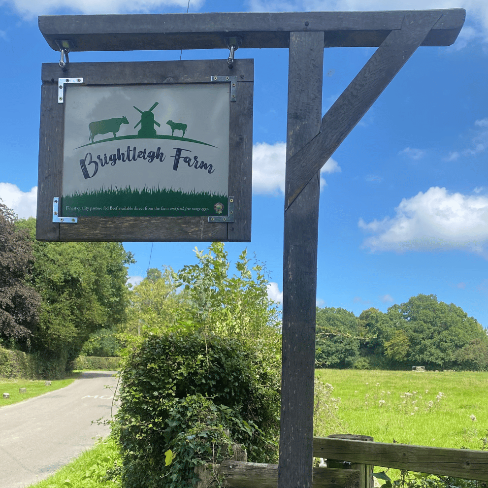 Gin Tasting in Surrey - A Taste of Friendship